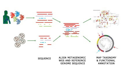 Nih Human Microbiome Project Microbial Reference Genomes